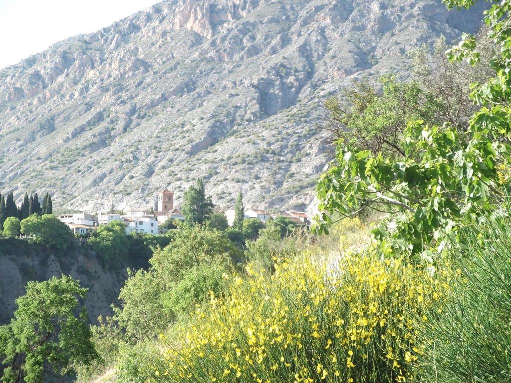 Casa Tia Maria,